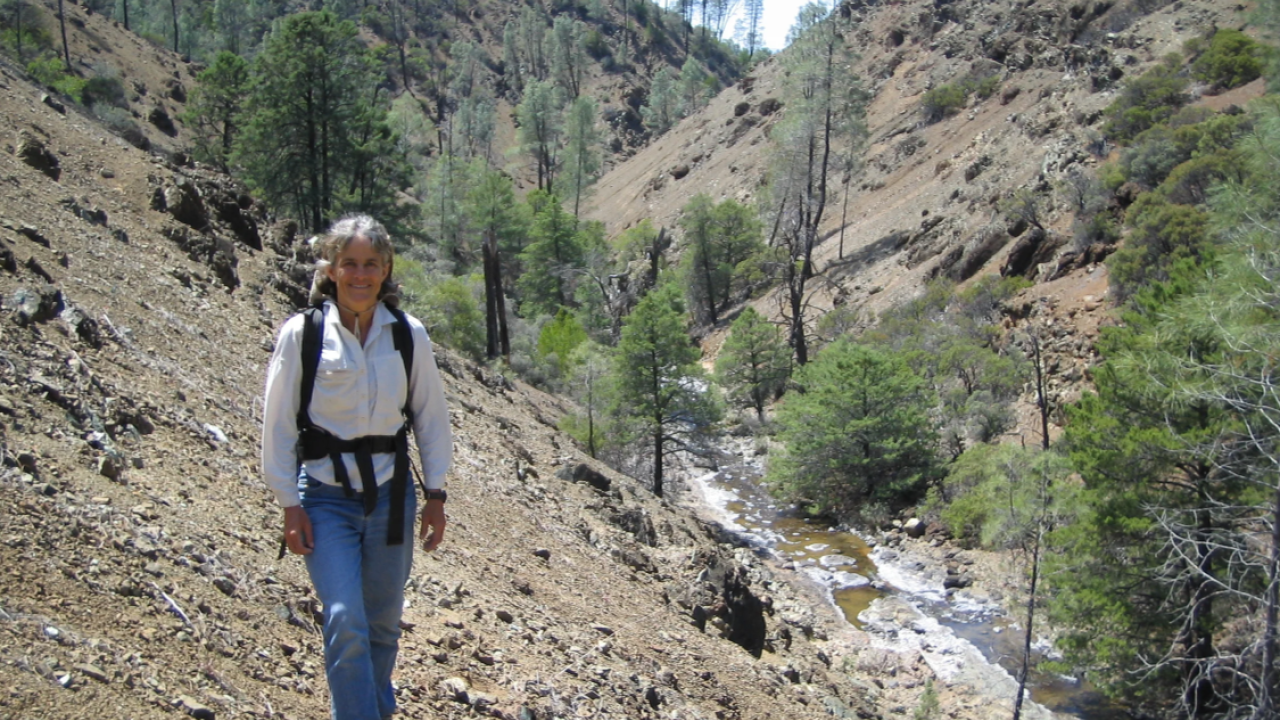 Harrison during a research trip. She has been conducting research at UC Davis' McLaughlin Natural Reserve for nearly 40 years