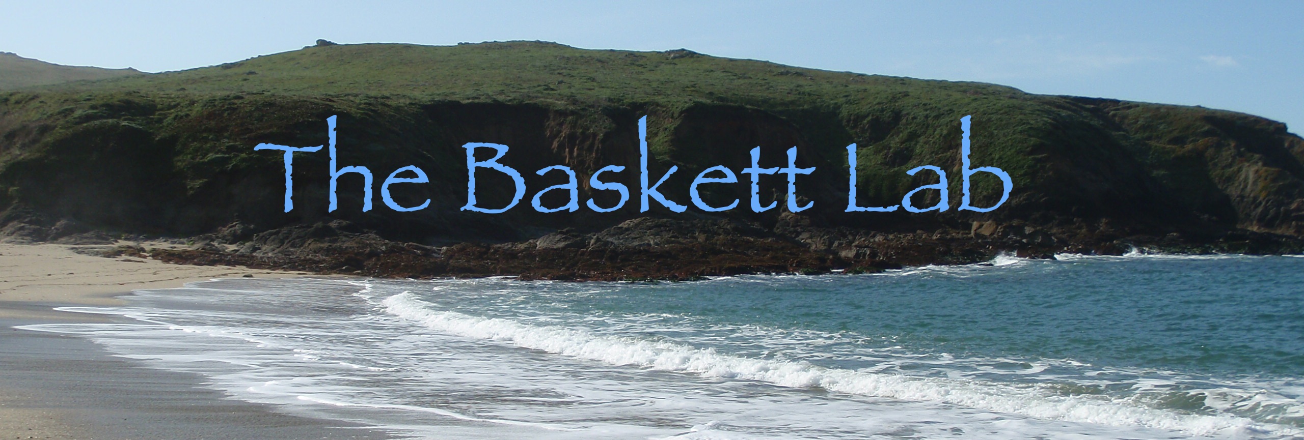 The Baskett Lab